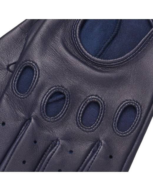 1861 Glove Manufactory Blue Hamerli Louis Driving Gloves for men