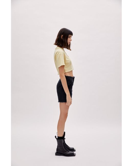 Pcfg Black Boomerang Shorts