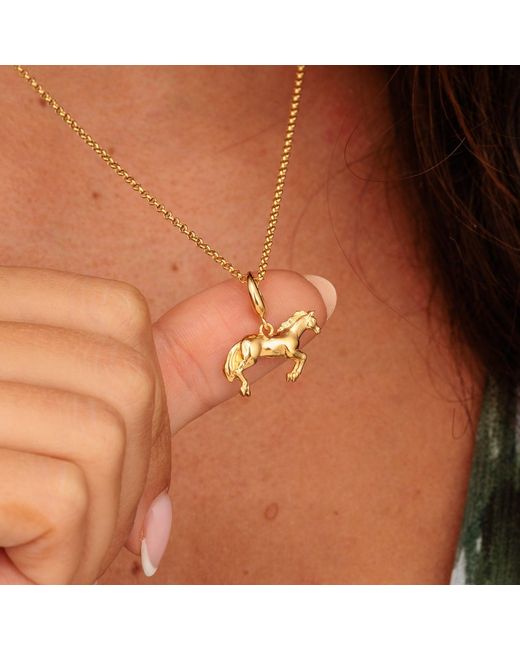 Lily Charmed Metallic Plated Horse Charm Necklace