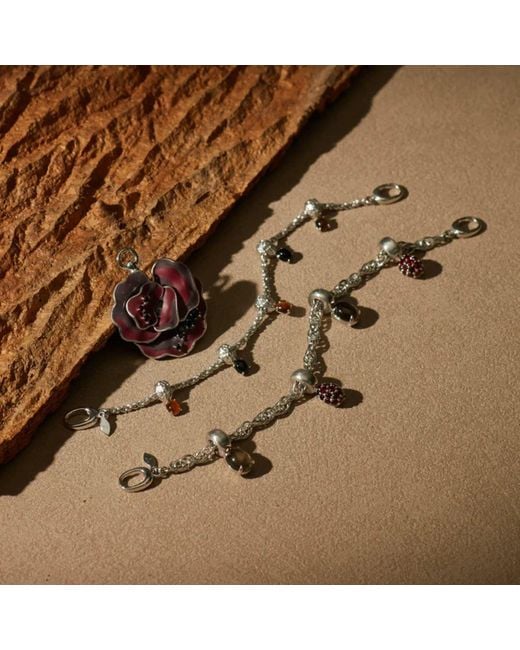 Onia Metallic Twisted Root Bracelet