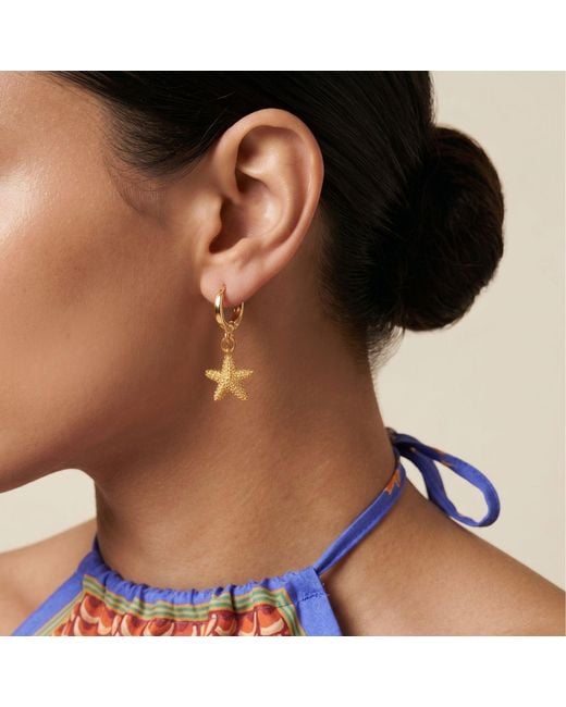 Jaredjamin White Sea Star Lever Back Earrings