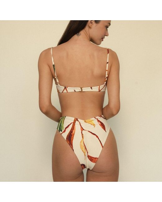 Montce Yellow Rooted Floral Paula Bikini Bottom
