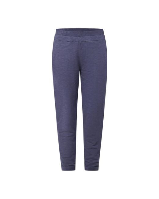 Known Supply Blue Sequoia Pant