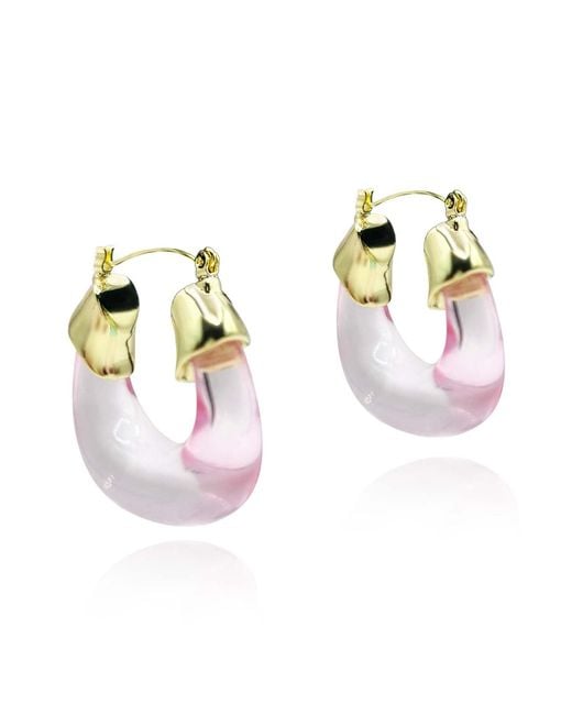 Michael Nash Jewelry Metallic Winslow Transparent Rose Resin And Hoop Earrings