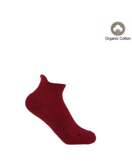 Peper Harow - Made in England Red Organic Trainer Socks Bundle – Burgundy