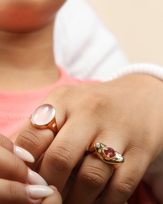 The Jewelz White Eraya Crimson Signet Ring Gift For Love