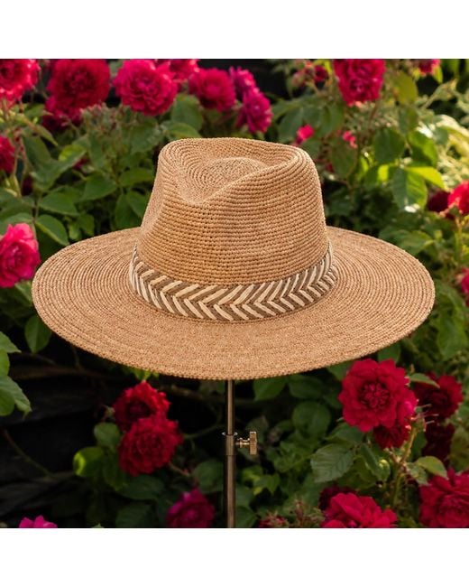 Shaded the Label Brown Neutrals Willowmere Natural Straw Fedora Hat