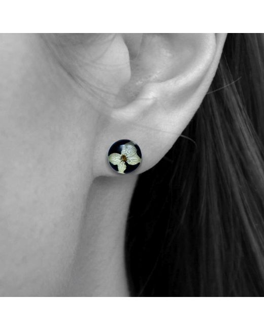 Laura Daili Blue Earrings Hydrangea