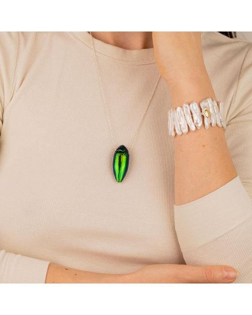 Oana Savu Green Sterling Necklace Real Beetle Insect Pendant