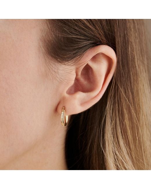 Posh Totty Designs Metallic Slim Gold huggie Earrings