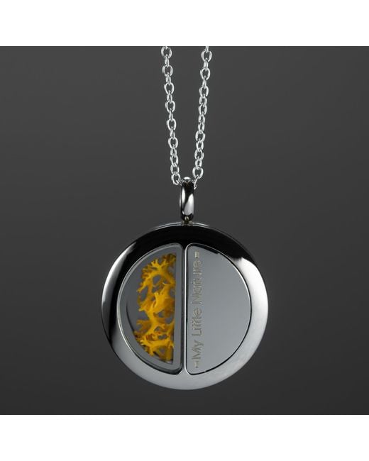 My Little Nature Metallic Artisan Necklace With Real Moss – Handcrafted Nature Jewelry, Butter
