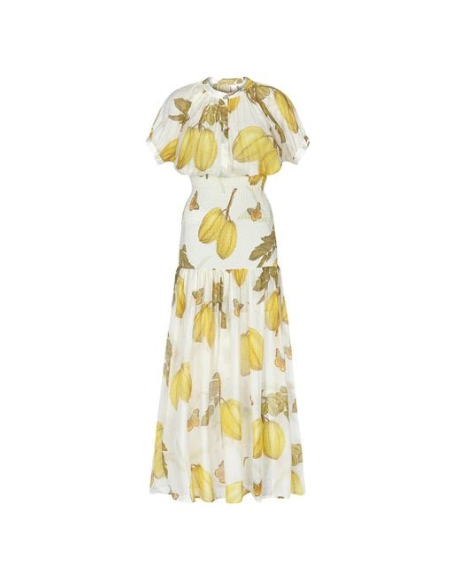 Aguaclara Metallic Fruits De L'Est Maxi Dress