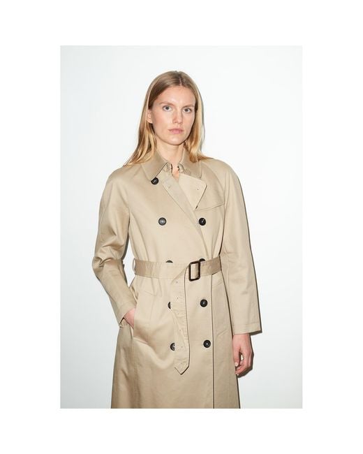 Hegarty Natural Neutrals Trench Coat