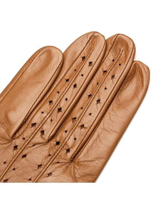 1861 Glove Manufactory Brown Ravello