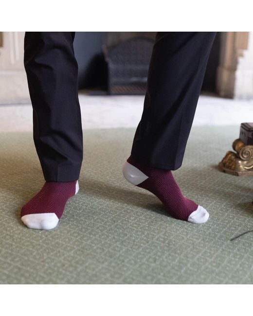 Peper Harow - Made in England Purple Groomsmen's Socks Bundle for men