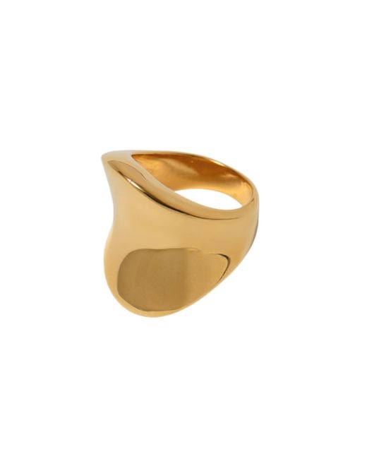 Argento Vivo Metallic The Vita Ring