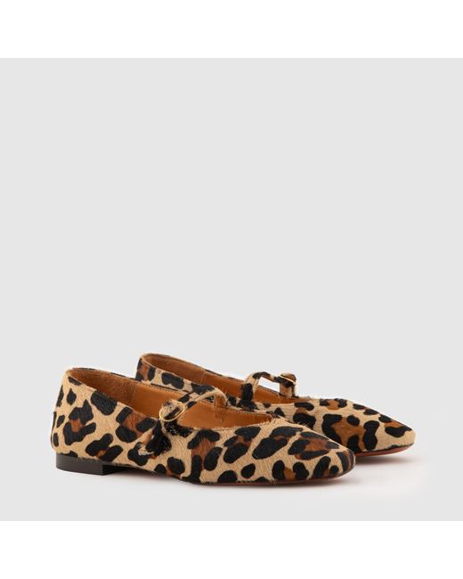 Mariano Shoes Brown Cacia Ballerina Leopard