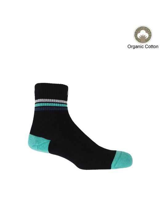 Peper Harow - Made in England Blue Organic Sports Socks Bundle for men