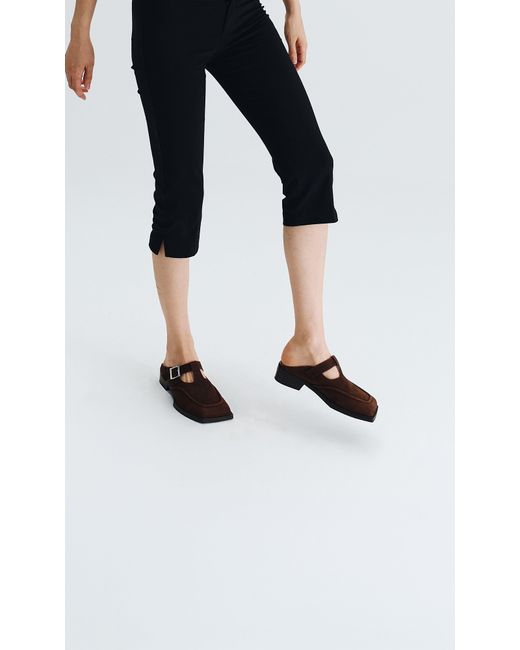 PREVU Brown Lou