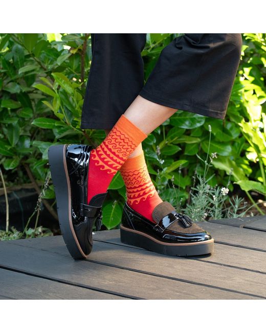 Peper Harow - Made in England Red Wave Socks Bundle
