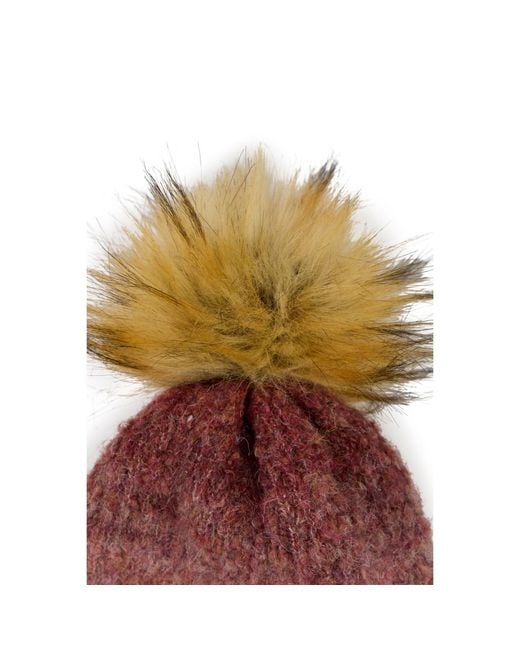 Saachi Brown Gradient Knit Beanie