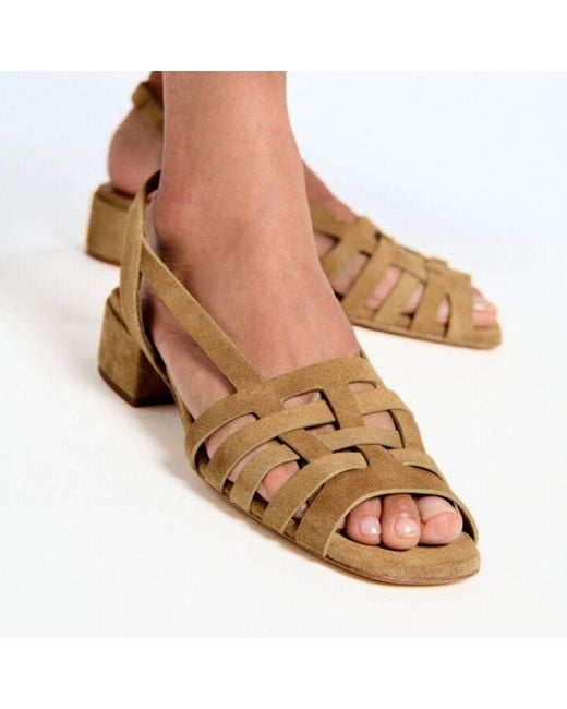 Naguisa Brown Ima Camel