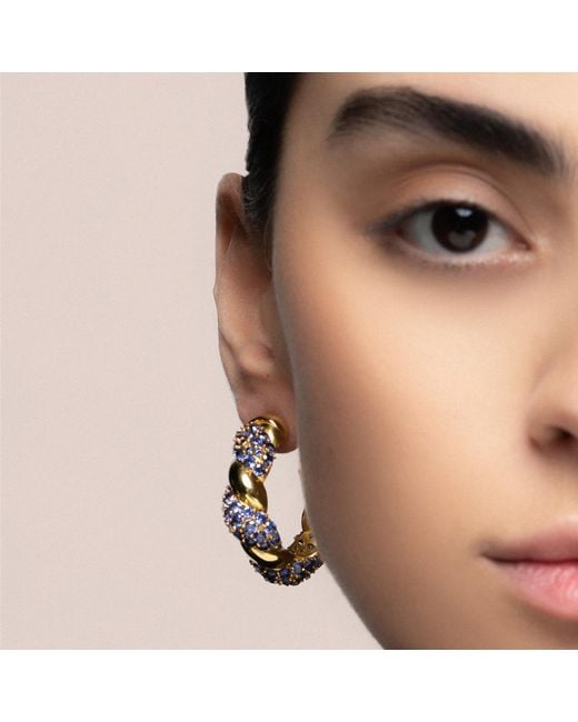 Lavani Jewels Multicolor Blue & Gold Plated Paramount Hoops