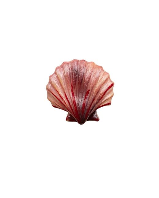 Sunset Magic Studio Red Coral Shell