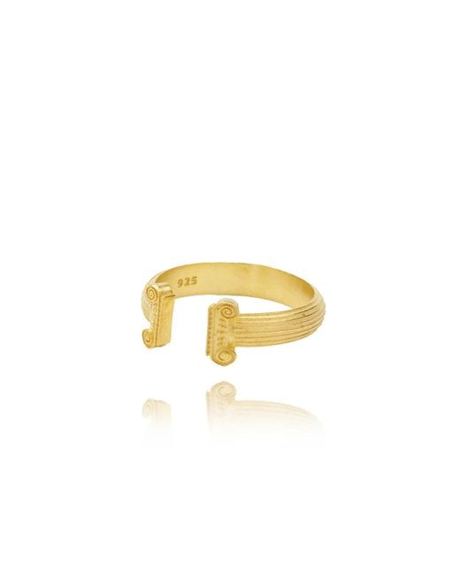 Ece London Metallic The Ionic Ring
