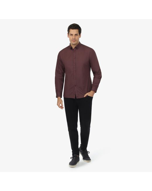 Vustra Purple Maple Grove Print Button-Down Shirt for men