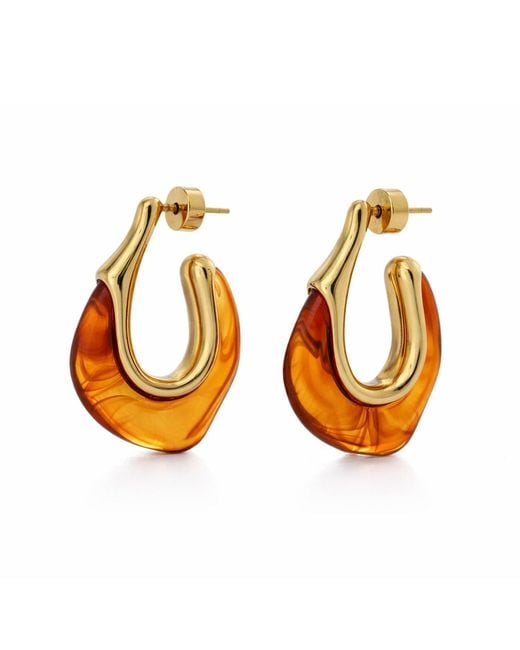 Hye Jane Jewelry Metallic Gaia Tortoise Resin Hoop