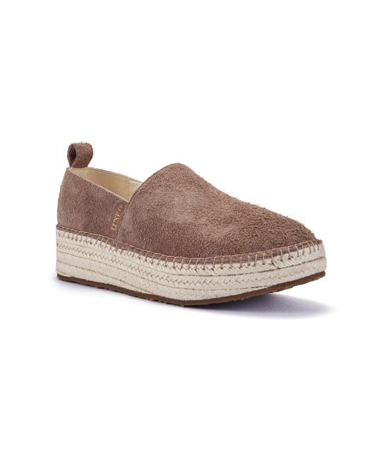 Australia Luxe Gray Neutrals Playa Mushroom