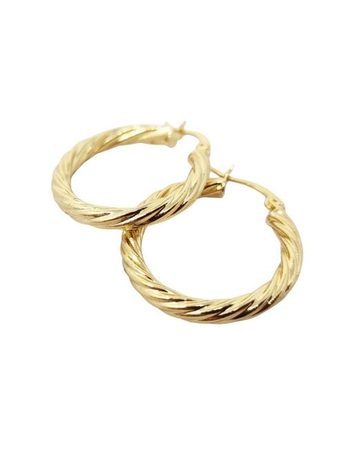 Harfi Metallic Vermeil Circle Rope Textured Earrings