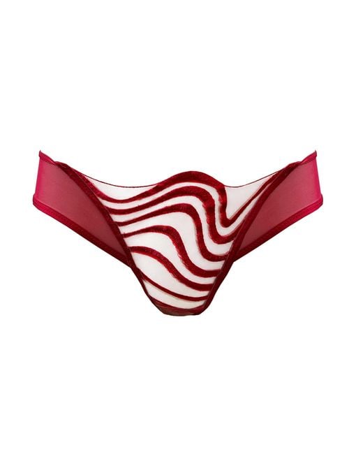 Somewhere Never Red Making Waves Brazilian Brief