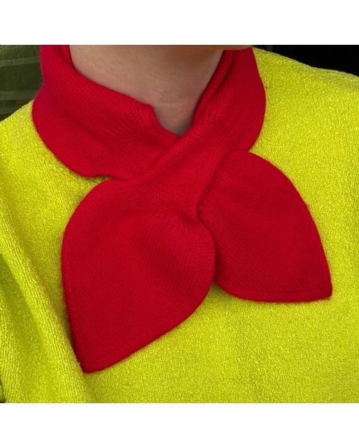 My Little Nature Red Pure Cashmere Scarf