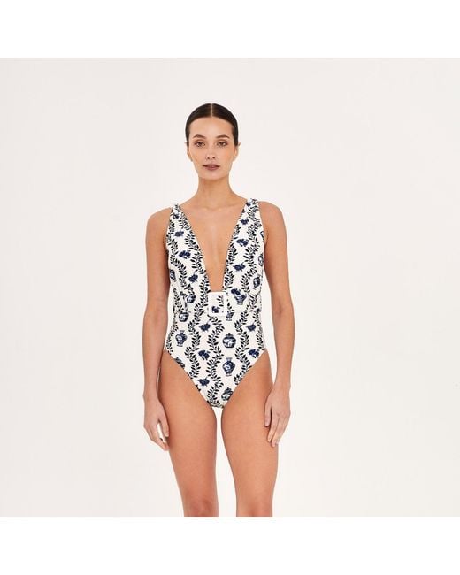 Aguaclara Blue Dynastie One Piece