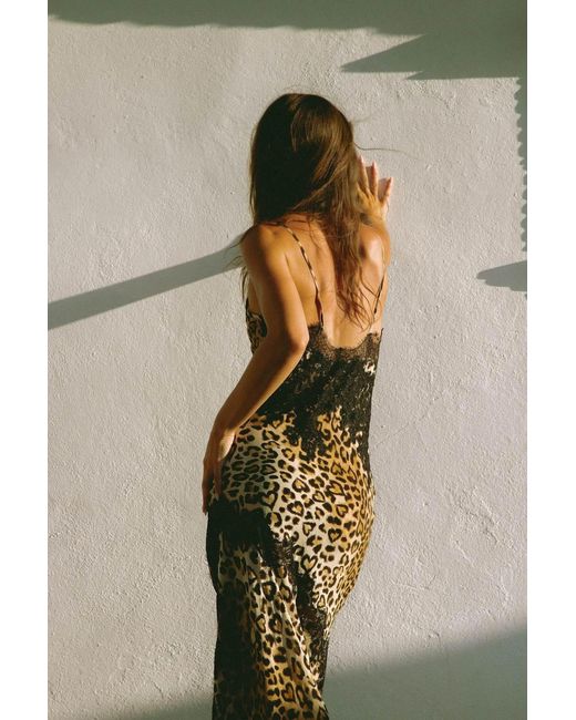 Wild Lovers Brown Honeycomb Dress