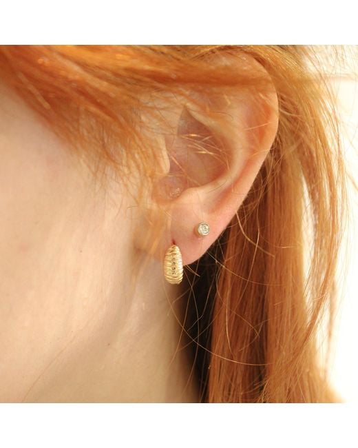 1610Istanbul Metallic Marine Seashell Earrings