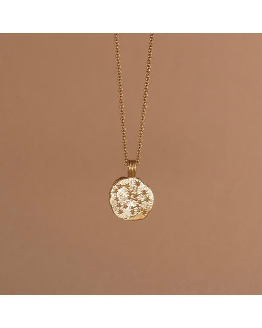 Zoe & Morgan Metallic Sun