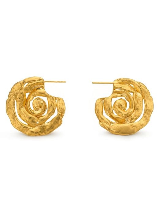 EVA REMENYI Metallic Origin Earrings