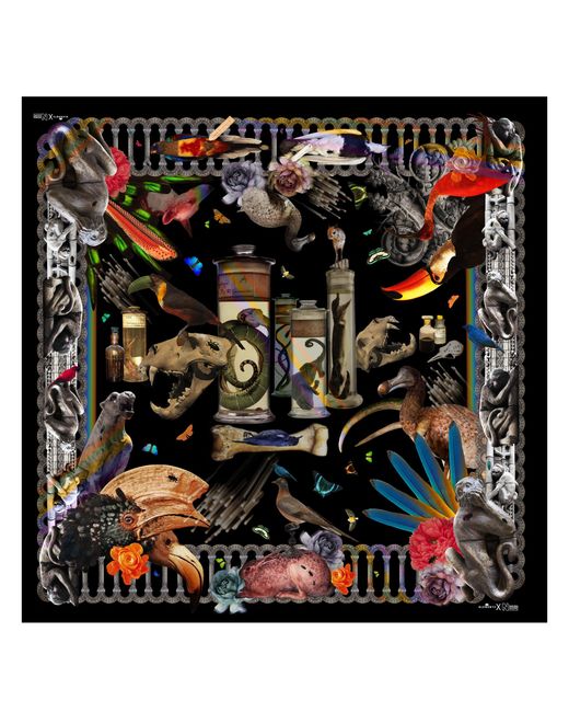 Klements Green Natural History Silk Scarf