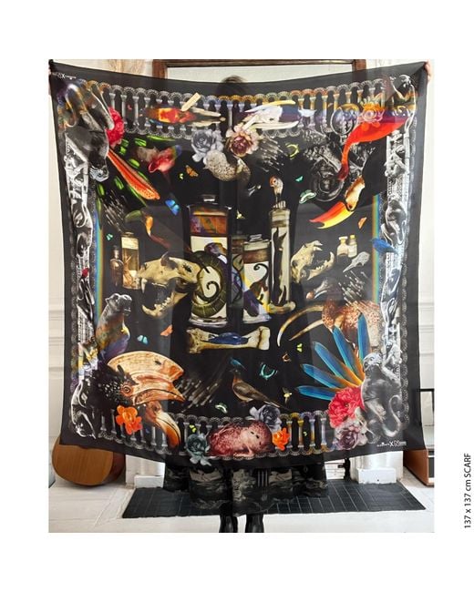 Klements Green Natural History Silk Scarf
