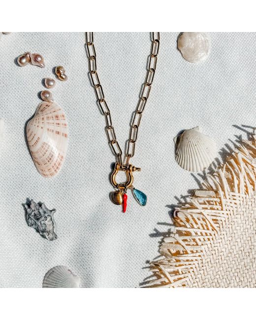 Babaloo Metallic Carabiner Charm Necklace