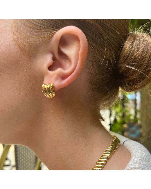 Nazzar Metallic Ribbed Earrings