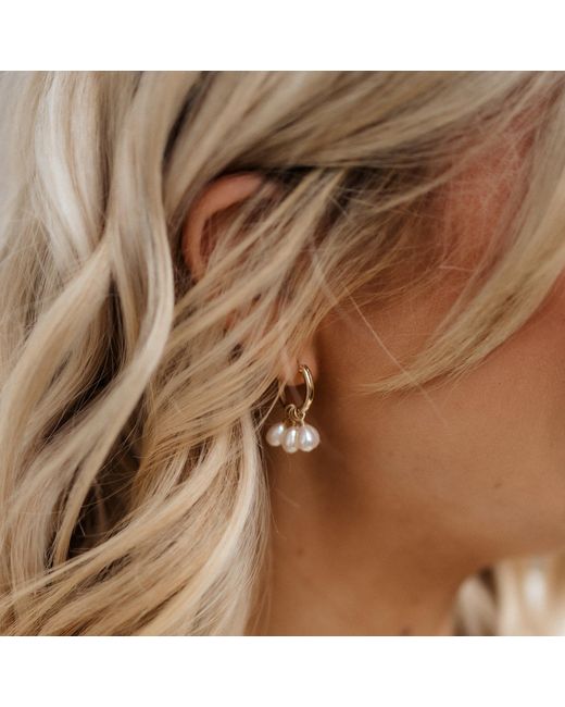 Kiri & Belle Metallic Harlow Pearl Cluster Hoop Filled Earrings