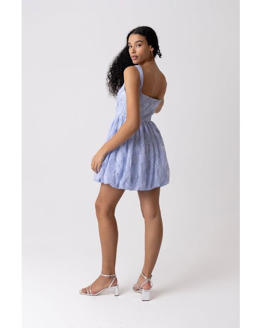 Amy Lynn Blue Lisa Lace Embellished Mini Puffball Dress