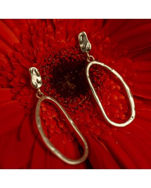Rare Matters Jewelry Metallic Sculpted Hoops Earrings
