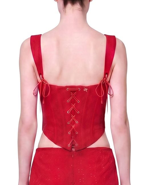 Pcfg The Broderie Anglaise Edit Structured Embroidered Corset