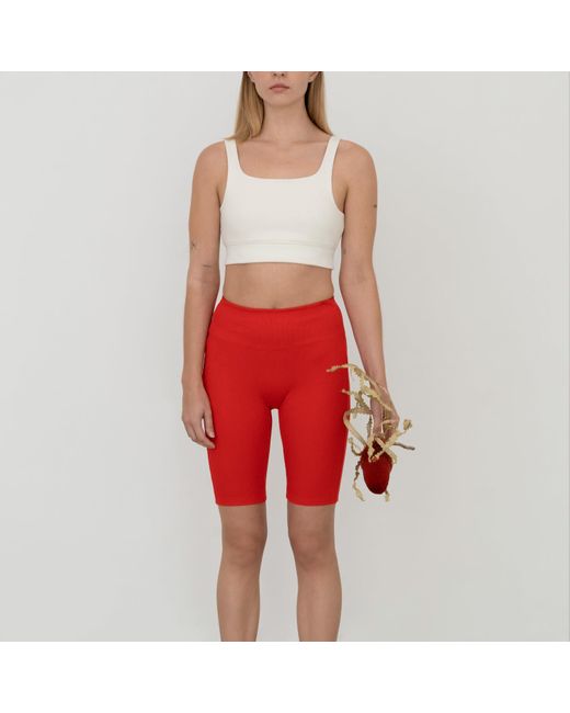 The Koozy Red Charlotte High Waist Shorts