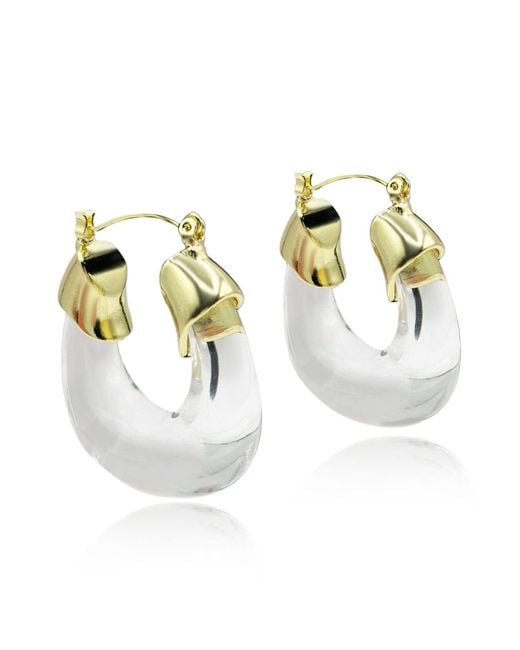 Michael Nash Jewelry Metallic Neutrals Winslow Clear Resin And Hoop Earrings